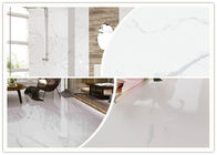 Mantenimiento fácil del alto del lustre de la porcelana tamaño blanco de las baldosas 600x1200 milímetro