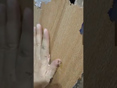 Introducción de la baldosa cerámica de la serie madera de 200x1200mm