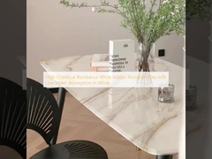 Azulejos de porcelana blancos para interiores con alta resistencia química y baja absorción de agua en blanco