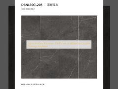 Paneles de porcelana para interiores elegantes en blanco para soluciones de pisos duraderas