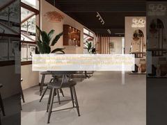 Resistencia al deslizamiento R9 a R11. Azulejo porcelánico moderno. Fácil de limpiar y mantener. Estilo moderno y sencillo. Solución de suelo duradera y elegante.