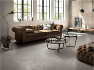 Diseño de cerámica interior los 60x60cm Grey Color Thin For Bedroom del suelo de baldosas y sala de estar