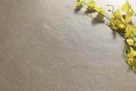 Color micro interior antibacteriano del beige de Novalux del cemento de las baldosas cerámicas