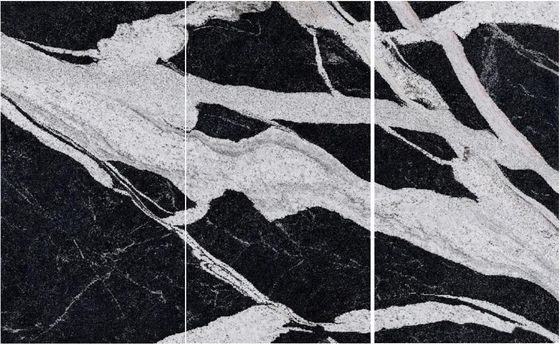 Teja negra mayor de la losa del mármol del color de Versace para la pavimentación interior de la pared del piso