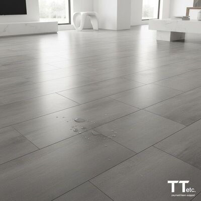 Fácil de limpiar cerámica de porcelana, que combina un mantenimiento fácil con un diseño moderno, apoyado por el equipo de pago T T etc.