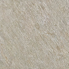 tamaño beige de la teja los 60x60cm del color de la baldosa áspera de la porcelana de la fábrica de Foshan del tamaño de 600x600m m
