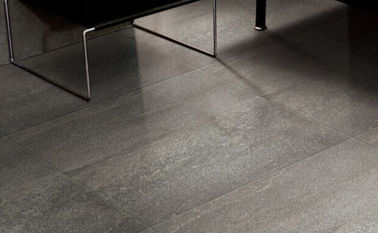 Las tejas interiores de la porcelana del estilo moderno, porcelana 600 x 300 tejan 10 milímetros de grueso