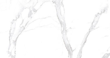 La porcelana interior de Carrara del color blanco estupendo teja tarifa de absorción baja