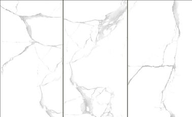 la porcelana interior del grueso de 10m m teja color blanco estupendo de los paneles de pared de la ducha