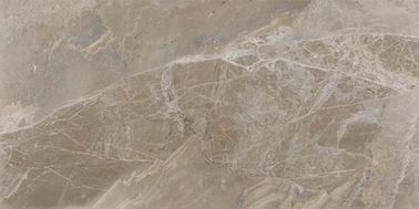 Matte Finish Marble Look Porcelain interior teja 24 x 48 x 0,47 pulgadas