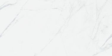 La baldosa pulida Digitaces esmaltada del mármol de Carrara lleva - la teja moderna resistente de la porcelana