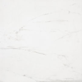 Tejas interiores blancas de la porcelana de Carrara para el mercado estupendo, hotel, chalet