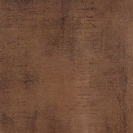 Tamaño contemporáneo 24x24 de la teja del cuarto de baño de la baldosa/de la porcelana del moho de la porcelana