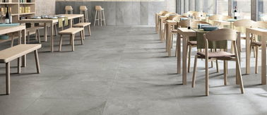 Teja de piedra a prueba de ácido de la porcelana de la mirada de Grey Matt Finish Tiles For Walls