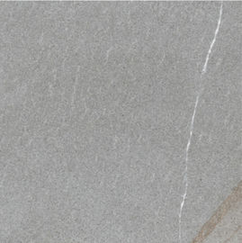 La talla 24 X 24 avanza lentamente el patio Grey Color Floor Tile del resbalón del cemento de la baldosa cerámica no