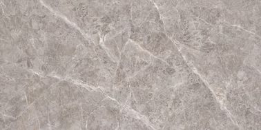 Piedra esmaltada de cerámica estupenda de la porcelana de la buena calidad la nueva teja las tejas interiores Grey Floor In Bathroom de la porcelana