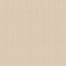 Teja de la porcelana de la mirada de Matt Surface Non Slip Cement, Matt Porcelain Tiles rústico 600*600m m
