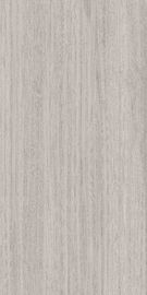 teja moderna de la porcelana de las baldosas externas de la porcelana de 1200x2400 Matt Glazed Large Format Grey