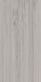 1200x2400 modeló 48' baldosa cerámica del cuarto de baño de la pulgada de X48