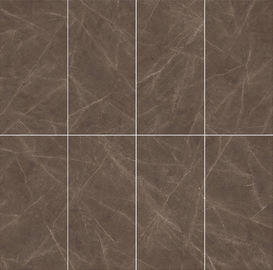 Baldosa cerámica del cuarto de baño resistente del material de construcción Frost