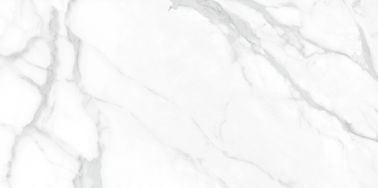La sala de estar y el sitio de la cama grande formato no la teja moderna de la porcelana del resbalón