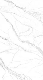 Teja interior de la porcelana de la losa de Matt Surface 1200*2400 de la baldosa de las ventas calientes blancas grandes del color en existencia