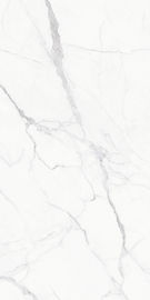 Tamaño 1200*2400m m de las tejas de la mirada del mármol de Foshan China del diseño de las tejas de suelo de baldosas de Modernporcelain nuevo