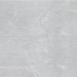 Teja los 60*60cm moderna de la porcelana de Matt 10m m de la cocina del cuarto de baño