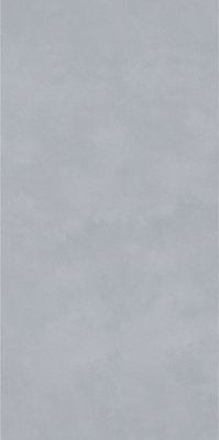 Lleve - la porcelana interior resistente teja 750x1500m m para el comedor